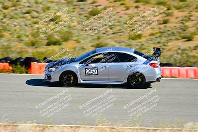 media/Apr-06-2024-Extreme Speed (Sat) [[3431b70655]]/Green-mid int/Session 1-The Bowl/